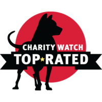 Charity Watch